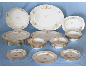 Antique Limoges LIM46 Dinnerware Collection. 29 Pieces. Made in France