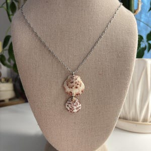 May include: A silver chain necklace with two seashell pendants. The seashells are cream and brown with a textured surface. The necklace is displayed on a beige mannequin.