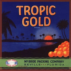 Original vintage Florida citrus crate label c1930s Tropic Gold Setting Sun Seville St. Johns River 7x7