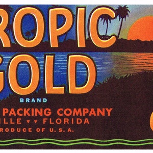 Original vintage Florida citrus crate label c1940s Tropic Gold Everglades Seville 3.5x8.5&quot;