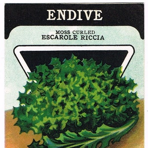 Pacchetto di semi d'epoca originale pacchetto NOS c1920 General Store giardino arte popolare carta seme Fredonia NY indivia muschio arricciato raro
