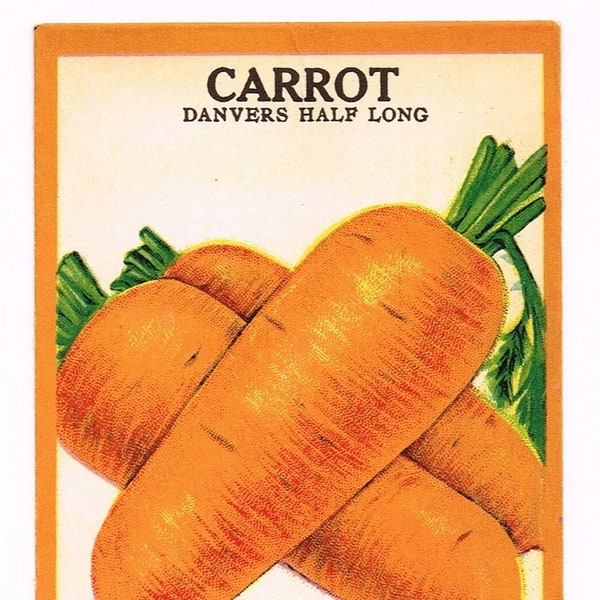 Original vintage chromolithographed seed packet pack NOS c1910 General Store garden folk art Fredonia New York Carrot Danvers Half Long