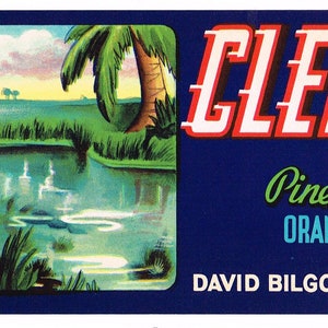 Original vintage Florida Strip citrus crate label c1930s Clearwater Pinellas County 3x9&quot;