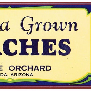 Original vintage peach crate label 1950s Arizona Grown Grizzle Orchards Elfrida