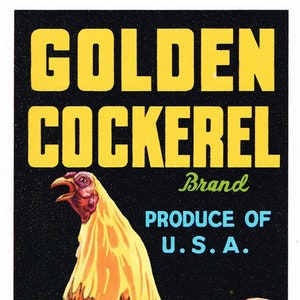 Original vintage Florida Strip citrus crate label c1950s Golden Cockerel Rooster Orlando 3.5x6&quot;