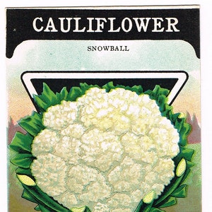Pacchetto di semi d'epoca originale pacchetto NOS c1920 General Store giardino arte popolare carta seme Fredonia NY cavolfiore palla di neve