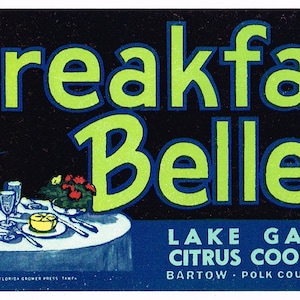 Original vintage Florida citrus crate label c1930s Breakfast Belle Bartow 3.5x9&quot;