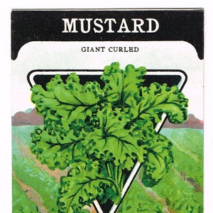 Pacchetto di semi d'epoca originale pacchetto NOS c1920 General Store giardino arte popolare carta seme Fredonia NY senape gigante arricciato
