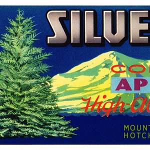 Original vintage Aprikosen Kiste Etikett c1940s SIlver Fichte Hotchkiss Colorado Rocky Mountains