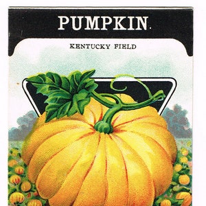 Original Vintage Samen paket NOS c1920 General Store Garten Volkskunst Karte Seed Fredonia NY Pumpkin Kentucky Field