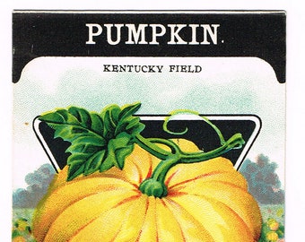 海外　シードパケット3枚　ヴィンテージ　2 オリジナルロット 10 種類の異なるヴィンテージ リトグラフ シード