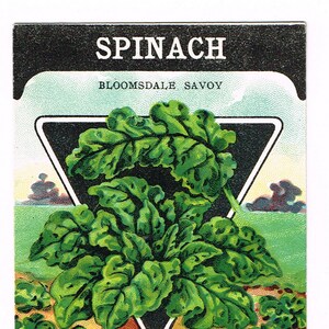 Pacchetto di semi d'epoca originale confezione NOS c1920 General Store giardino arte popolare carta seme Fredonia NY spinaci Bloomsdale Savoy
