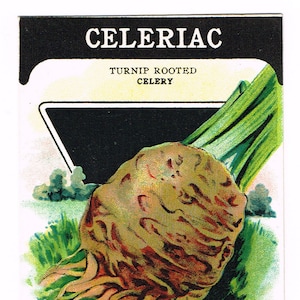 Puede incluir: Un paquete de semillas vintage para Celeriac, un apio de raíz de nabo. El paquete presenta una ilustración colorida de un gran apio marrón con hojas verdes. El texto en el paquete dice "Celeriac, Turnip Rooted Celery, Card Seed Co., Fredonia, N.Y."