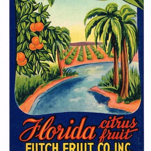 Original vintage Florida strip citrus crate label c1940s Futch&#39;s Pride Ocala Grove Scene 3.25x8.5&quot;