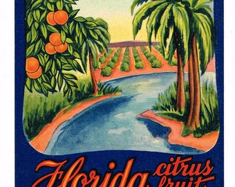 Original vintage Florida strip citrus crate label c1940s Futch's Pride Ocala Grove Scene 3.25x8.5"