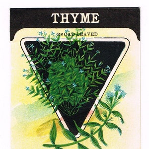 May include: Vintage seed packet for broad-leaved thyme. The packet features a black triangle with white trim and a depiction of the herb. The text on the packet reads "THYME BROAD LEAVED" and "CARD SEED.CO. FREDONIA, N.Y."