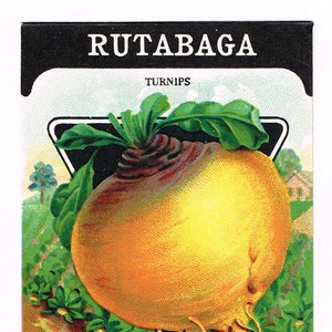 Pacchetto di semi d'epoca originale confezione NOS c1920 General Store garden folk art Card Seed Fredonia NY Rutabaga Rape