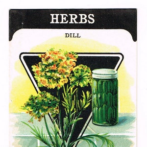 Confezione originale di semi vintage NOS c1920 General Store giardino arte popolare Carta Semi Fredonia NY Erbe Aneto Barattolo per sottaceti