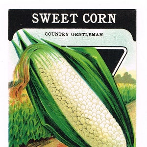 Original Vintage Samen Paket Packung NOS c1920 General Store Garten Volkskunst Card Seed Fredonia NY Sweet Corn Country Gentleman