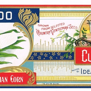 Original vintage Tin Can etiqueta c1920s Cuckoo Bird Brand Ideal Canning Co. Rothsville Pennsylvania Corn