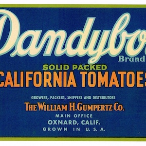Original vintage Tomato Crate Label 1920s Dandyboy Oxnard Ventura County Young Boy 13x5&quot;