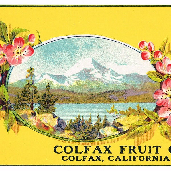 Original antique vintage Tin Can label 1920s Colfax Placer Nevada County Quite Scarce