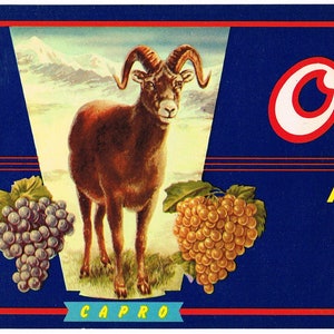 Original vintage grape crate label 1950s O&#39;Capro Mountain Goat Nicholas Pepe Bronx New York