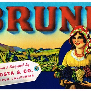 Original Vintage Traubenkiste Label 1950er Jahre Brunette Brand Typography California Ripon Costa & Co. Landscape