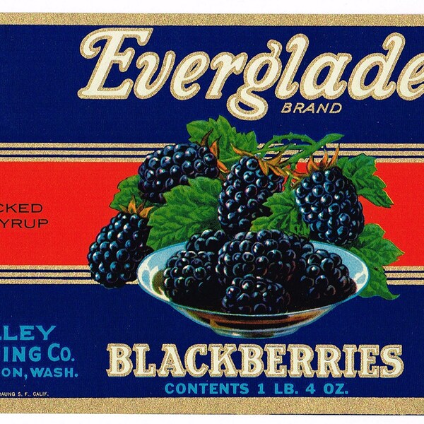 Original vintage Tin Can label 1950s Everglade Brand General Store Carnation Washington State Blackberries Valley Canning