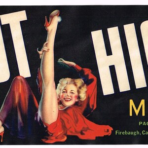 May include: Vintage advertisement for melons. The black background features the words "FOOT HIGH MELONS" in large white letters. A woman in a red dress and heels is featured in the center. The text "PRODUCE OF U.S.A." is also present.