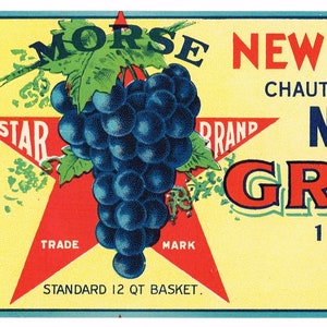 Original Vintage Traubenkiste Label c1900 New York Antique Chautauqua & Erie County Niagara Star Concord Portland Morse