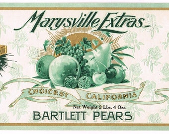 Original vintage Tin Can label C1915 The Glory of California San Francisco California Packing Corporation Bartlett Pear Original vintage Tin Can label C1915 The Glory of California San Francisco California Packing Corporation Bartlett Pear