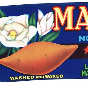 Originele vintage Yam krat label 1950 Magnolia Noord-Carolina zuidelijke bloem