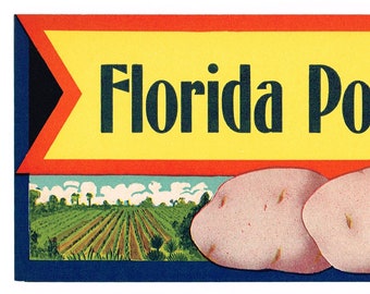 May include: A vintage label for Florida Potatoes, featuring a yellow arrow with the text "Florida Potatoes" in black lettering. The label also includes a green background with the text "Packed by Wetumpka Fruit Co. Hastings, Florida" in black lettering. Three potatoes are depicted in the lower portion of the label.