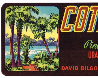 May include: A vintage citrus fruit label with a dark brown background. The label features a bright orange and yellow text that reads "Cotee River Brand". The text is outlined in blue and red. Below the text is a green and white text that reads "Pinellas County's Finest". Below that is red text that reads "Oranges Grapefruit Tangerines". The bottom of the label features a black and white text that reads "Growers, Packers, & Shippers. David Bilgore & Co. Clearwater, Florida. Produce of U.S.A.". The label also features a small image of palm trees and a body of water.