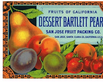 Original vintage Tin Can label C1915 The Glory of California San Francisco California Packing Corporation Bartlett Pear Original vintage Tin Can label C1915 The Glory of California San Francisco California Packing Corporation Bartlett Pear