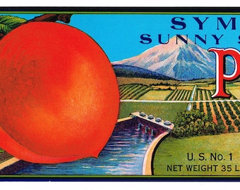 Original vintage peach crate label 1940s Caldwell Idaho Symms Sunny Slope Landscape Dam Lug