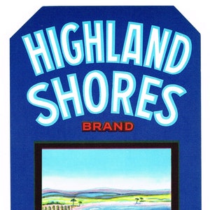 Original vintage Florida citrus crate strip label c1950s Highland Shores Clermont Lake Placid Ridge Lime Blue Goose