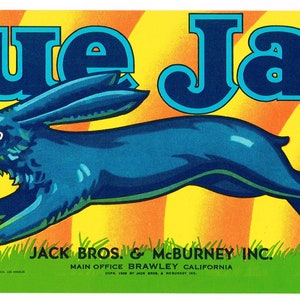 Original vintage melon crate label 1940s Blue Jack Rabbit Hare Brawley California & Arizona