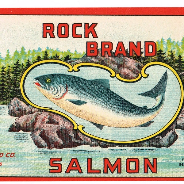 Vintage Tin Cans Etsy