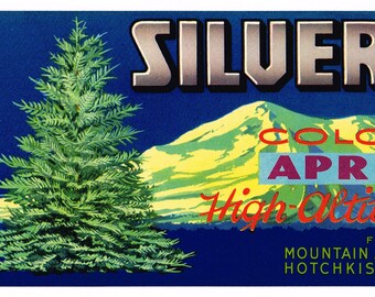 ORIGINAL CRATE LABEL VINTAGE COLORADO SILVER SPRUCE APRICOTS HOTCHKISS ROCKIES