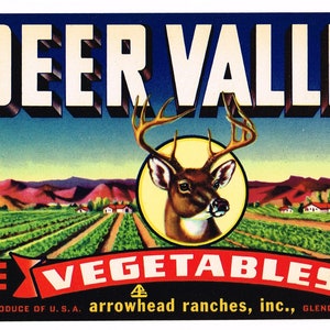 Original vintage vegetable crate label 1950s Deer Valley Arrowhead Ranches Glendale Arizona Buck Stag 4.75x6.75&quot;