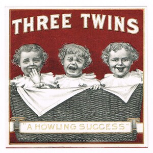 Original vintage cigar box label c1910 Chromolithograph Three Twins Twin Baby In a Basket Triplets Embossed Howling Success
