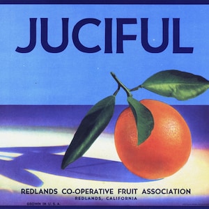 Original Vintage Orange Zitruskiste Label 1930er Jahre Juciful Redlands Minimalism San Bernardino County