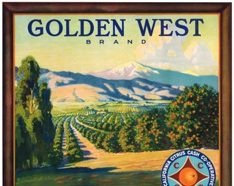 Golden West Orange Crate label Riverside County California Original 1930s vintage scarce Orchard Scene