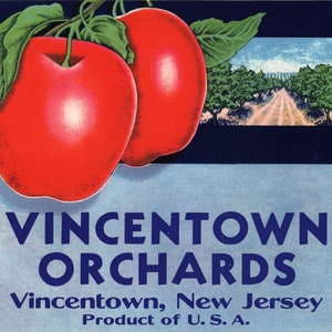 Original vintage apple crate label 1940s Vincentown Orchards New Jersey