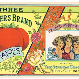 Original Antique vintage Tin Can Case label 1920s Three Sisters Brand Ridgely Caroline County Maryland Tomatoes