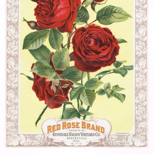 Original vintage antique Raisin Crate Label c1890s Red Rose Floral Chromolithograph Rosedale Vineyard Bakersfield California