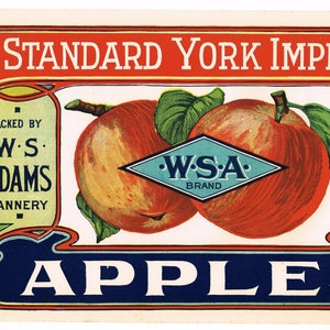 Original vintage apple crate label c1920s York Imperial Peach Glen Adams County Pennsylvania Folk Art Typography
