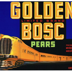 Original vintage pear crate label 1940s Golden Limited Brand Streamline Train Engine Medford Oregon Golden Bosc Mid Century